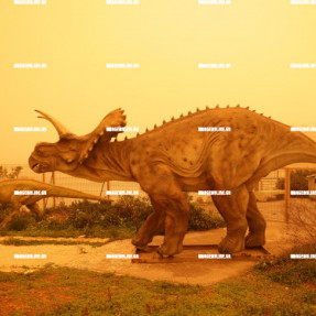 ΑΦΡΙΚΑΝΙΚΗ ΣΚΟΝΗ