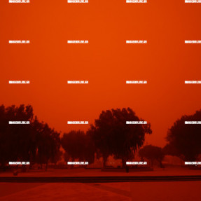 ΑΦΡΙΚΑΝΙΚΗ ΣΚΟΝΗ