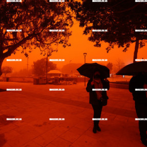 ΑΦΡΙΚΑΝΙΚΗ ΣΚΟΝΗ