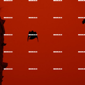 ΑΦΡΙΚΑΝΙΚΗ ΣΚΟΝΗ