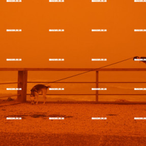 ΑΦΡΙΚΑΝΙΚΗ ΣΚΟΝΗ