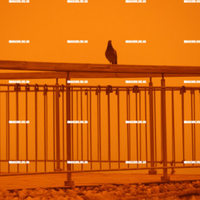 ΑΦΡΙΚΑΝΙΚΗ ΣΚΟΝΗ