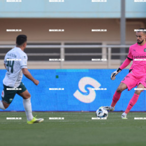 ΟΦΗ - ΛΕΒΑΔΕΙΑΚΟΣ