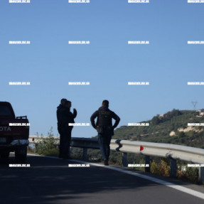 ΕΡΕΥΝΕΣ ΓΙΑ ΤΗΝ 43ΧΡΟΝΗ