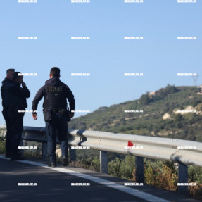 ΕΡΕΥΝΕΣ ΓΙΑ ΤΗΝ 43ΧΡΟΝΗ