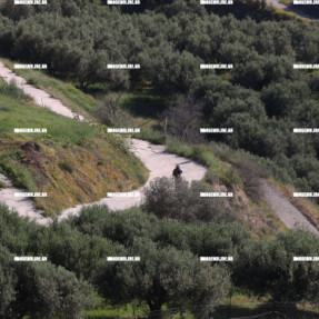 ΕΡΕΥΝΕΣ ΓΙΑ ΤΗΝ 43ΧΡΟΝΗ