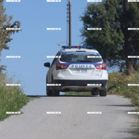 ΕΡΕΥΝΕΣ ΓΙΑ ΤΗΝ 43ΧΡΟΝΗ