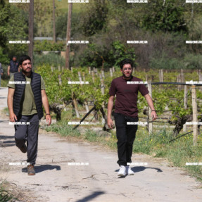 ΕΡΕΥΝΕΣ ΓΙΑ ΤΗΝ 43ΧΡΟΝΗ