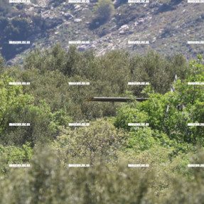 ΑΝΑΓΚΑΣΤΙΚΗ ΠΡΟΣΓΕΙΩΣΗ ΕΛΙΚΟΠΤΕΡΟΥ ΜΕΤΑΞΥ ΜΑΘΙΑΣ ΚΑΙ ΑΜΑΡΙΑΝΟΥ
