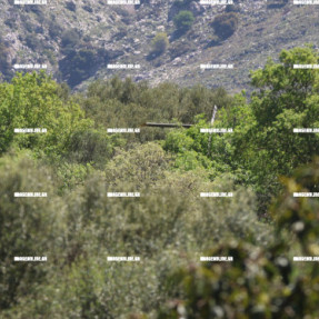 ΑΝΑΓΚΑΣΤΙΚΗ ΠΡΟΣΓΕΙΩΣΗ ΕΛΙΚΟΠΤΕΡΟΥ ΜΕΤΑΞΥ ΜΑΘΙΑΣ ΚΑΙ ΑΜΑΡΙΑΝΟΥ