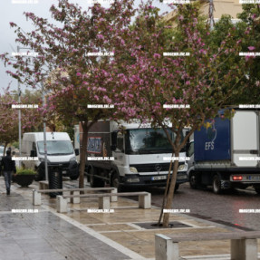 ΚΥΚΛΟΦΟΡΙΑΚΟ ΣΤΗ ΔΙΚΑΙΟΣΥΝΗΣ