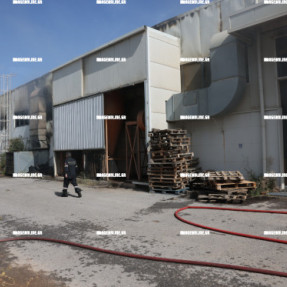 ΦΩΤΙΑ ΣΕ ΑΠΟΘΗΚΗ ΣΤΙΣ ΜΑΛΑΔΕΣ