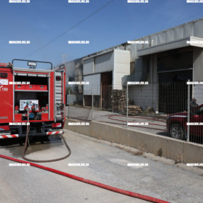 ΦΩΤΙΑ ΣΕ ΑΠΟΘΗΚΗ ΣΤΙΣ ΜΑΛΑΔΕΣ