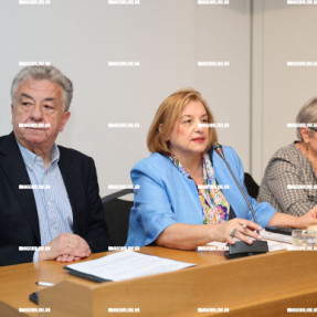 ΠΕΡΙΦΕΡΕΙΑΚΗ ΣΥΝΕΔΡΙΑΣΗ ΓΙΑ ΧΩΡΙΚΕΣ ΕΠΕΝΔΥΣΕΙΣ ΣΤΟ IBIS