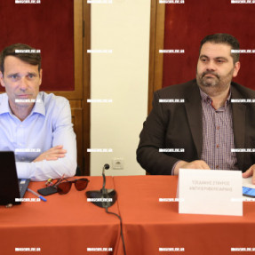ΑΝΤΙΔΡΑΣΕΙΣ ΓΙΑ ΤΗΝ ΔΟΜΗ ΜΕΤΑΝΑΣΤΩΝ ΣΤΙΣ ΜΑΛΑΔΕΣ