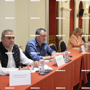 ΑΝΤΙΔΡΑΣΕΙΣ ΓΙΑ ΤΗΝ ΔΟΜΗ ΜΕΤΑΝΑΣΤΩΝ ΣΤΙΣ ΜΑΛΑΔΕΣ