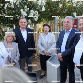 ΤΕΛΕΤΗ ΑΠΟΔΟΣΗΣ ΤΟΥ ΕΡΓΟΥ ΑΝΤΙΠΛΥΜΜΥΡΙΚΗΣ ΘΩΡΑΚΙΣΗΣ ΚΑΙ ΑΝΑΔΕΙΞΗΣ ΤΩΝ ΜΙΝΩΙΚΩΝ ΑΝΑΚΤΟΡΩΝ ΣΤΑ ΜΑΛΙΑ