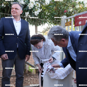 ΤΕΛΕΤΗ ΑΠΟΔΟΣΗΣ ΤΟΥ ΕΡΓΟΥ ΑΝΤΙΠΛΥΜΜΥΡΙΚΗΣ ΘΩΡΑΚΙΣΗΣ ΚΑΙ ΑΝΑΔΕΙΞΗΣ ΤΩΝ ΜΙΝΩΙΚΩΝ ΑΝΑΚΤΟΡΩΝ ΣΤΑ ΜΑΛΙΑ