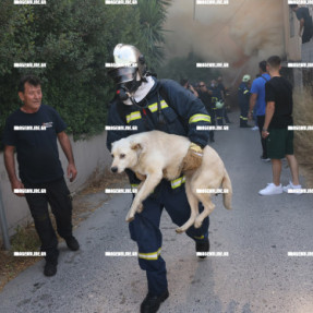 ΦΩΤΙΑ ΣΤΟΝ ΑΙ ΓΙΑΝΝΗ ΤΟ ΧΩΣΤΟ
