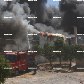 ΦΩΤΙΑ ΣΤΟΝ ΑΙ ΓΙΑΝΝΗ ΤΟ ΧΩΣΤΟ