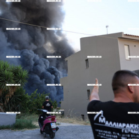 ΦΩΤΙΑ ΣΤΟΝ ΑΙ ΓΙΑΝΝΗ ΤΟ ΧΩΣΤΟ