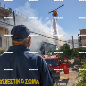 ΦΩΤΙΑ ΣΤΟΝ ΑΙ ΓΙΑΝΝΗ ΤΟ ΧΩΣΤΟ