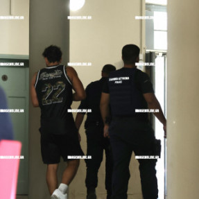 ΣΤΑ ΔΙΚΑΣΤΗΡΙΑ Ο 27ΧΡΟΝΟΣ ΓΕΡΜΑΝΟΣ ΠΟΥ ΞΥΛΟΚΟΠΗΣΕ ΤΗΝ ΠΡΩΗΝ ΤΟΥ