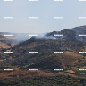 ΦΩΤΙΑ ΣΤΟ ΜΕΛΙΔΟΧΩΡΙ