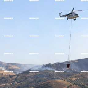 ΦΩΤΙΑ ΣΤΟ ΜΕΛΙΔΟΧΩΡΙ