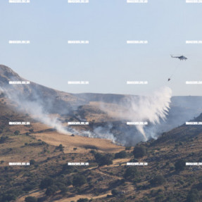 ΦΩΤΙΑ ΣΤΟ ΜΕΛΙΔΟΧΩΡΙ