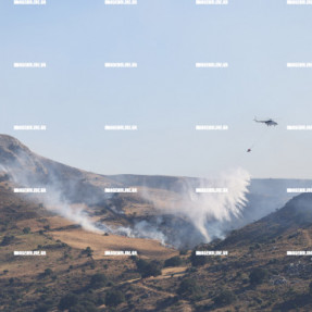 ΦΩΤΙΑ ΣΤΟ ΜΕΛΙΔΟΧΩΡΙ