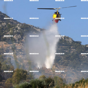 ΦΩΤΙΑ ΣΤΟ ΜΕΛΙΔΟΧΩΡΙ