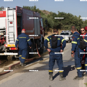 ΦΩΤΙΑ ΣΤΟ ΜΕΛΙΔΟΧΩΡΙ