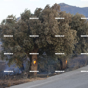 ΦΩΤΙΑ ΣΤΗΝ ΚΡΥΑ ΒΡΥΣΗ