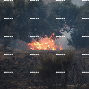 ΦΩΤΙΑ ΣΤΗΝ ΚΡΥΑ ΒΡΥΣΗ