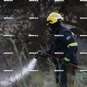 ΦΩΤΙΑ ΣΤΗΝ ΚΡΥΑ ΒΡΥΣΗ