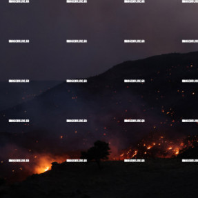 ΦΩΤΙΑ ΣΤΗΝ ΚΡΥΑ ΒΡΥΣΗ
