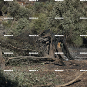 2η ΗΜΕΡΑ ΦΩΤΙΑΣ ΣΤΟ ΝΟΤΙΟ ΡΕΘΥΜΝΟ