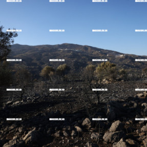 2η ΗΜΕΡΑ ΦΩΤΙΑΣ ΣΤΟ ΝΟΤΙΟ ΡΕΘΥΜΝΟ