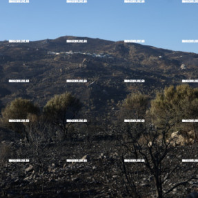 2η ΗΜΕΡΑ ΦΩΤΙΑΣ ΣΤΟ ΝΟΤΙΟ ΡΕΘΥΜΝΟ