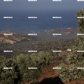 2η ΗΜΕΡΑ ΦΩΤΙΑΣ ΣΤΟ ΝΟΤΙΟ ΡΕΘΥΜΝΟ