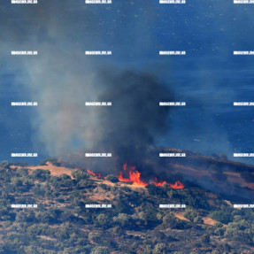 2η ΗΜΕΡΑ ΦΩΤΙΑΣ ΣΤΟ ΝΟΤΙΟ ΡΕΘΥΜΝΟ