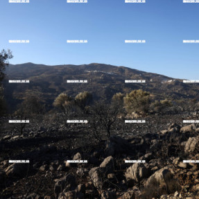 2η ΗΜΕΡΑ ΦΩΤΙΑΣ ΣΤΟ ΝΟΤΙΟ ΡΕΘΥΜΝΟ