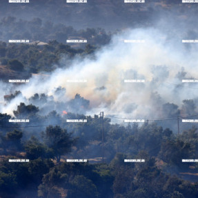 2η ΗΜΕΡΑ ΦΩΤΙΑΣ ΣΤΟ ΝΟΤΙΟ ΡΕΘΥΜΝΟ