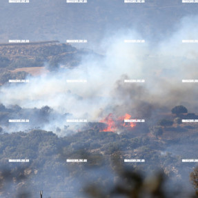 2η ΗΜΕΡΑ ΦΩΤΙΑΣ ΣΤΟ ΝΟΤΙΟ ΡΕΘΥΜΝΟ