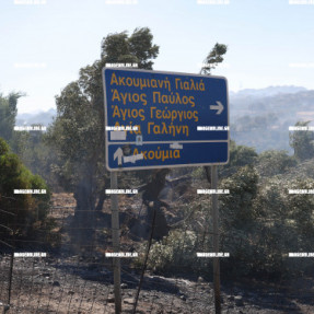 2η ΗΜΕΡΑ ΦΩΤΙΑΣ ΣΤΟ ΝΟΤΙΟ ΡΕΘΥΜΝΟ