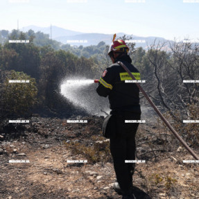 2η ΗΜΕΡΑ ΦΩΤΙΑΣ ΣΤΟ ΝΟΤΙΟ ΡΕΘΥΜΝΟ