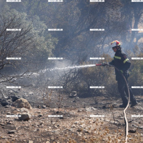 2η ΗΜΕΡΑ ΦΩΤΙΑΣ ΣΤΟ ΝΟΤΙΟ ΡΕΘΥΜΝΟ