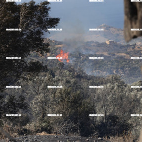 2η ΗΜΕΡΑ ΦΩΤΙΑΣ ΣΤΟ ΝΟΤΙΟ ΡΕΘΥΜΝΟ