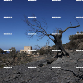 2η ΗΜΕΡΑ ΦΩΤΙΑΣ ΣΤΟ ΝΟΤΙΟ ΡΕΘΥΜΝΟ